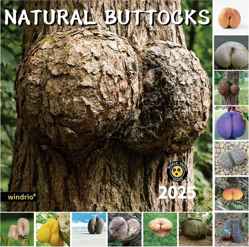 Miniatura 10 de Calendario de pared 2026, Calendario divertido 2026, noviembre de 2025 - diciembre de 2026, calendario de pared con memes divertidos de animales, 12