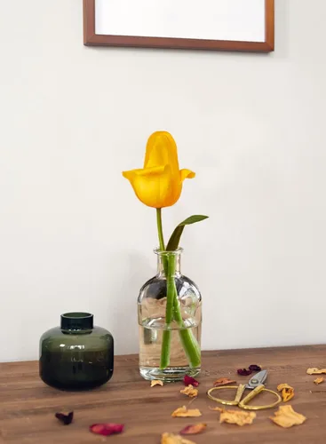 Miniatura 5 de Serene Spaces Living (Paquete de 6) Jarrones de brotes para frascos de boticario, botellas de vidrio decorativas, centros de mesa para recepción