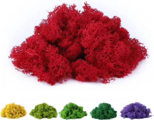 Musgo de reno preservado de musgo falso de 3.5 onzas para plantas en maceta, artes y manualidades, terrarios, decoración de pared, centros de mesa,