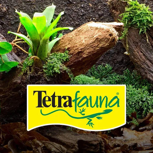 Miniatura 8 de Tetra ReptoMin Baby - Palitos flotantes para alimentos de 0.92 onzas, para tortugas acuáticas pequeñas, tritones y ranas (paquete de 36)
