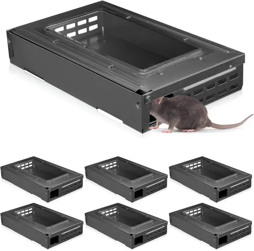 Qualirey Paquete de 2 trampas para ratones con tapa transparente, humanizada, para interiores y exteriores, control de ratas, mascotas y seguridad