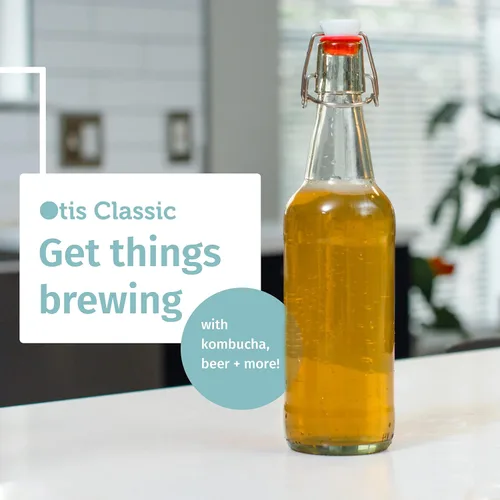 Miniatura 9 de Otis Classic Botellas de vidrio con tapas, juego de 6 botellas de vidrio transparentes con tapas de cerámica para almacenar kombucha, licor, jarabe
