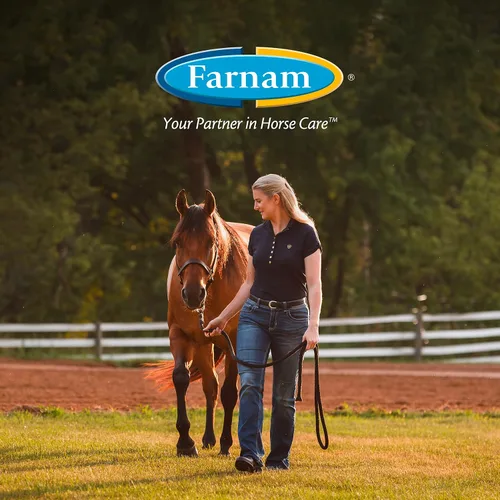 Miniatura 9 de Farnam Next Level Suplemento para articulaciones de caballo para caballos y perros, ayuda a mantener el tejido conectivo para aliviar la rigidez