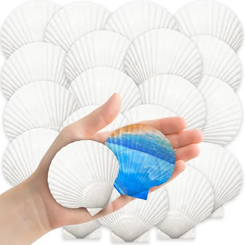 Miniatura 10 de YUJUN 18 conchas de vieira naturales grandes, de 2 a 3 pulgadas, 4 a 5 pulgadas, conchas marinas blancas a granel para manualidades, pintura