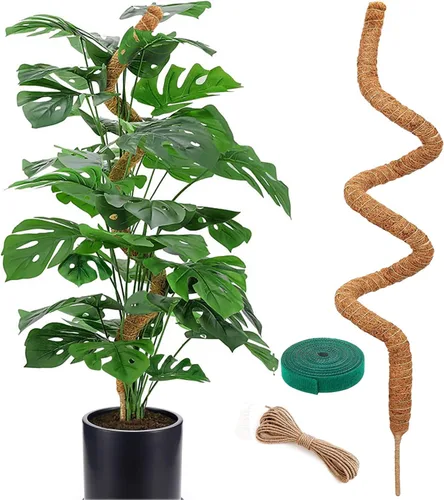 Poste de musgo de 48 pulgadas, poste de musgo flexible para plantas Monstera – Postes de musgo para plantas trepadoras de interior, estacas de apoyo