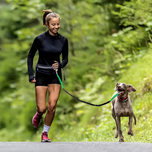 Miniatura 7 de Caudblor Correa de cintura para pasear perros medianos y grandes, correa elástica manos libres con bolsa de cremallera, alrededor de la cintura sin