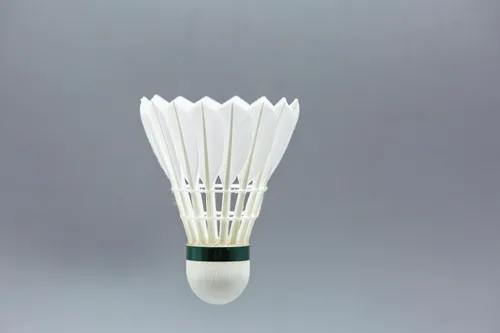 Miniatura 4 de DS-40 Premium Goose Feather Badminton Shuttlecock Multi-Pack