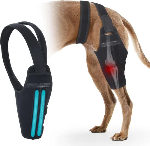 Miniatura 8 de Rodillera para perro para pierna trasera desgarrada del ligamento cruzado anterior – Soporte de pierna de perro para pierna trasera con 2 Pierna