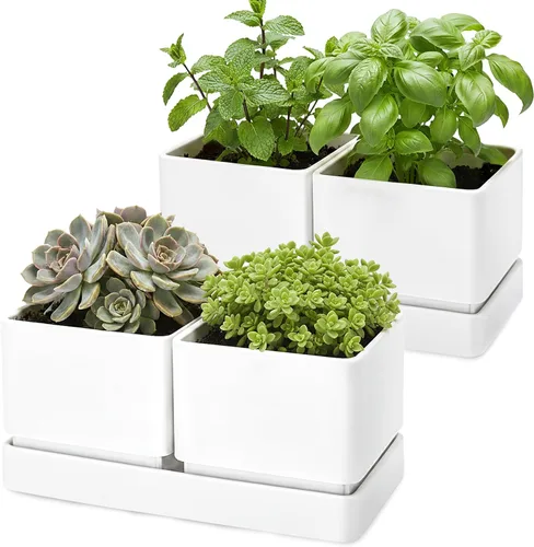 Miniatura 7 de D'vine Dev Juego de macetas de jardín de hierbas para interiores, macetas de plástico para alféizar de ventana con drenaje y platillo, maceta