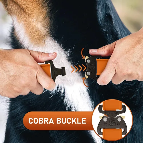 Miniatura 5 de Biothane - Collar de perro con hebilla de cobra, fabricado en Estados Unidos, etiqueta de identificación con código QR, collares de perro ajustables