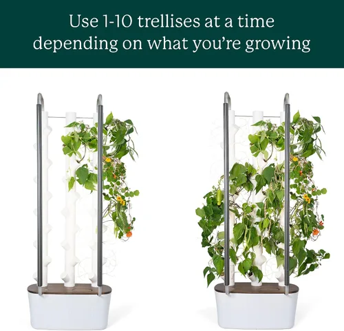 Miniatura 3 de Accesorio de sistema de cultivo hidropónico Gardyn Trellis que admite plantas trepadoras de interior – Paquete de 5