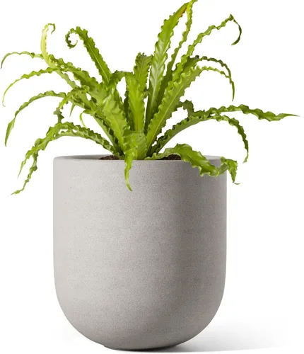 Miniatura 13 de LE TAUCI Maceta para plantas de 10 pulgadas, macetas de cerámica para plantas con orificio de drenaje y tapón de goma, macetas para plantas