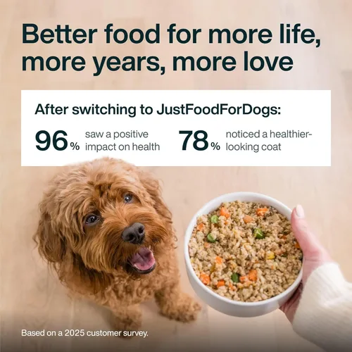 Miniatura 7 de JustFoodForDogs Pantry Fresh - Alimento húmedo para perros, comida completa o comida para perros, receta de comida para perros de cordero y arroz