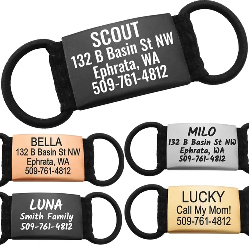 GoTags Etiquetas de identificación de mascotas silenciosas personalizadas y grabadas para perros y gatos, etiquetas de nombre personalizadas sin