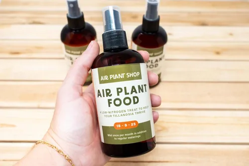 Miniatura 3 de Air Plants Fertilizante en botella de spray de niebla fina – Alimento vegetal para Tillandsia – Uso mensual para el crecimiento de plantas