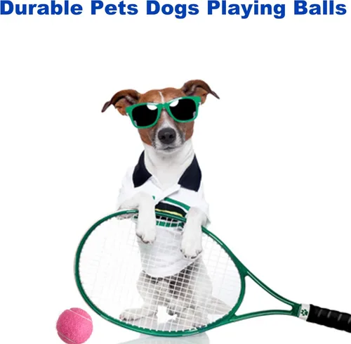 Miniatura 5 de Pelotas de tenis, paquete de 12 pelotas de tenis de práctica avanzada para principiantes, pelotas de tenis de entrenamiento para perros y mascotas