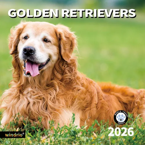 Miniatura 16 de Calendario de pared 2026, calendario 2026, noviembre de 2025 a diciembre de 2026, calendario de pared Beagles, 12 x 24 pulgadas abierto, página