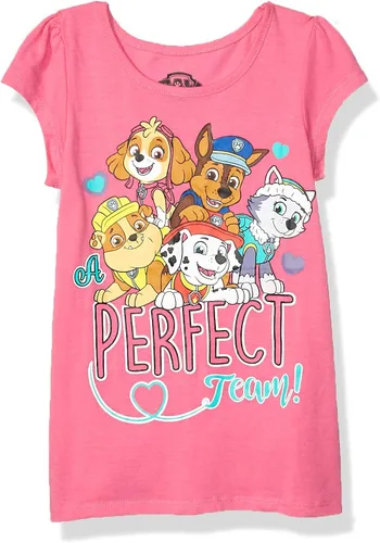 Paw Patrol Nickelodeon Girls Short Sleeve T-Shirt for Toddler and Little Kids - GreyPinkWhiteBlue