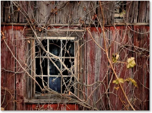 Trademark Fine Art Lienzo decorativo para pared con ventana de granero viejo por Lois Bryan, 22 x 32 pulgadas