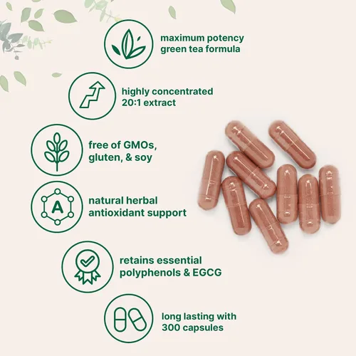 Miniatura 3 de Micro Ingredients Extracto de té verde extra fuerte, 300 cápsulas Suministro para 5 meses Suplemento antioxidante de polifenoles de máxima