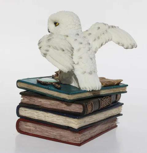 Miniatura 8 de US Alas de búho de nieve de 4.75 pulgadas en caja de libros, color blanco