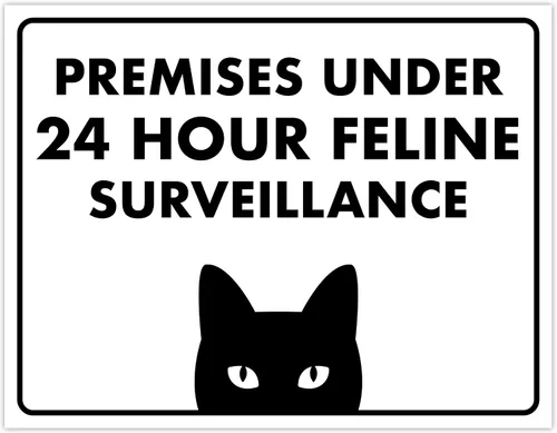 Miniatura 45 de Señal de Gato de 24 Horas de Vigilancia Felina de Premises Under 24 Hour - Cartel de gato divertido, metal, 8 x 12 pulgadas, letreros de gato