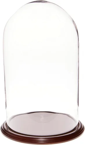 Miniatura 4 de Plymor 11.75" x 20" Pantalla de cristal Dome Cloche (base de nogal)