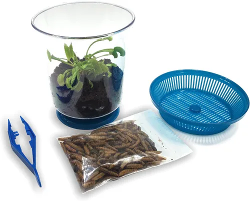 Miniatura 6 de Venus - Trampa para moscas con terrario azul de 4.5 pulgadas + plantas carnívoras paquete de alimentos con pinzas de alimentación, suelo para Tapa