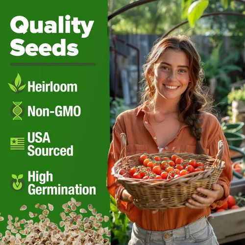 Miniatura 3 de HOME GROWN Semillas grandes de tomate cereza roja, más de 1000 semillas tradicionales sin OMG para plantar, alta germinación, tomates de ensalada