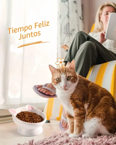 Miniatura 6 de 2 piezas de tazón de comida para gatos elevado de cerámica, tazones de comida inclinados 15°, protegen la columna vertebral del gato, antivómito
