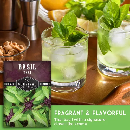 Miniatura 4 de Semillas de albahaca tailandesa para plantar – Albahaca dulce tailandesa con sabor a anís para cocina asiática – Semillas de hierbas tradicionales