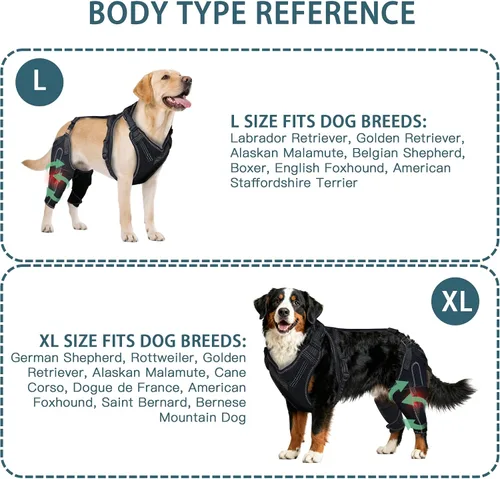Miniatura 3 de Rodillera para perro para pierna trasera desgarrada del ACL, soporte para piernas traseras de perros, articulaciones cálidas y alivia el dolor