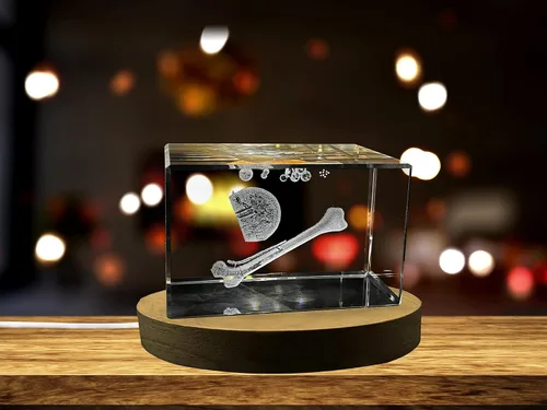 Miniatura 29 de Regalo para médicos 3D grabado en cristal recuerdo/regalo/decoración/(pequeño (3 x 2 x 2 pulgadas), arterias)