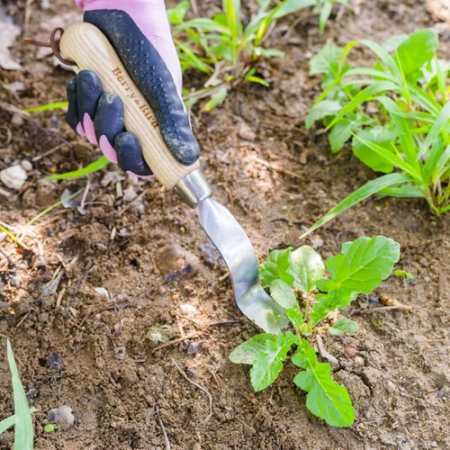 Miniatura 3 de Pala de mano para jardín de Berry&Bird, acero inoxidable, resistente, para mujeres, herramienta de jardinería con mango ergonómico y cabeza de metal