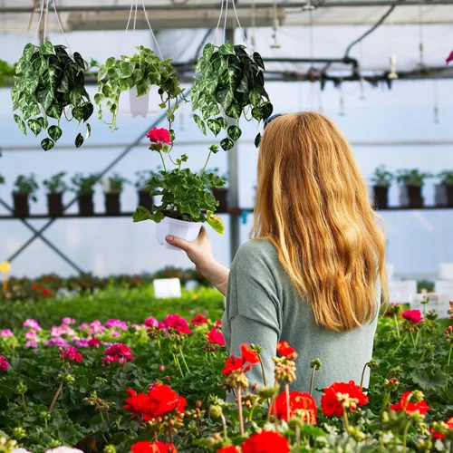 Miniatura 7 de Roshtia 24 unidades de maceta colgante de plástico con gancho, macetas de flores, cestas, soporte para plantas de vivero colgante para jardín