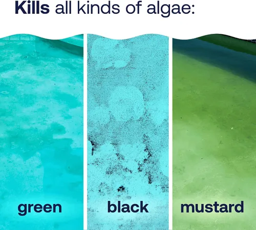 Miniatura 3 de HTH 67084 Pool Care Algae Guard Advanced, Eliminador de todas las algas para piscinas - Acción rápida, destruye y previene las algas verdes, negras