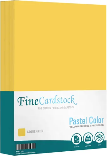 Miniatura 33 de Papel de cartulina de color 67 Vellum Bristol, tamaños: 8.5 x 11 11 x 17 8.5 x 14 1 resma de 250 hojas por paquete. (8.5 x 11 azul)