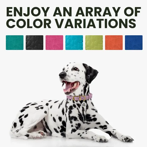 Miniatura 6 de Collar de cuero enrollado para perro, diseño redondo suave que evita enredos y enmarañe con etiqueta de identificación para perros pequeños, Hebilla