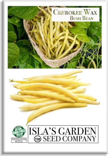Cherokee Wax Bush - Semillas de frijol (Phaseolus vulgaris), más de 50 semillas sin OMG y reliquias de Isla's Garden Seeds, vainas de color amarillo