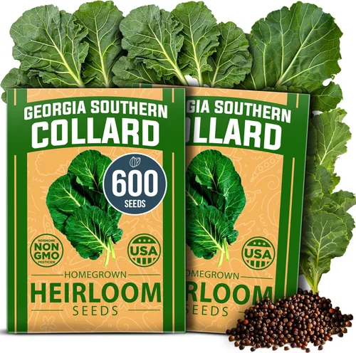 Miniatura 113 de HOME GROWN Mezcla de semillas germinantes de primera calidad, microgreens 118,200 semillas para cultivo en interiores, brócoli, alfalfa, rábano