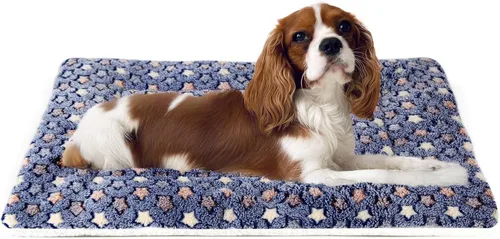 Miniatura 22 de Mora Pets Cama para perros ultra suave con bonito estampado de estrellas, lavable para perros grandes, medianos y pequeños, reversible, forro polar