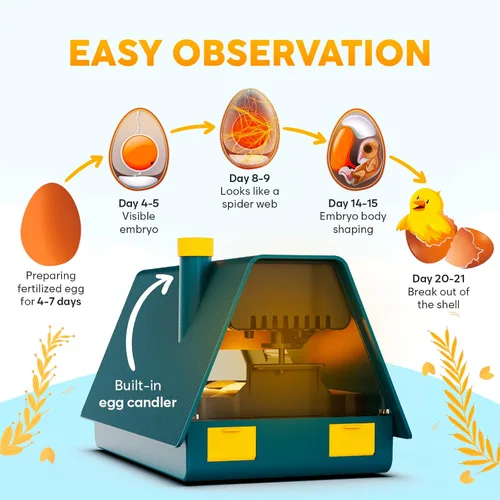 Miniatura 4 de Okkobi Incubadora M10 para incubar huevos, ideal para todas las edades, girador automático y control de humedad, vela integrada, 10 huevos, verde