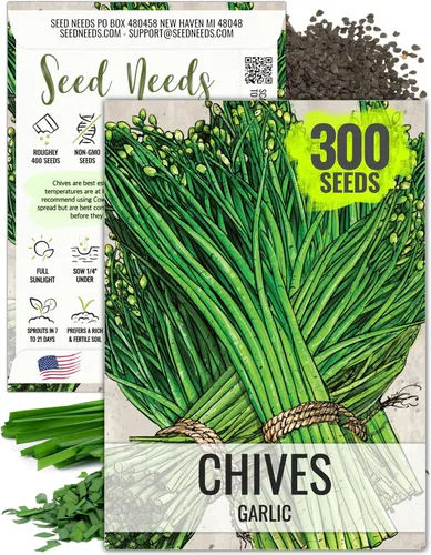 Seed Needs Semillas de cebollino para plantar cebolletas de ajo, herencia sin OMG y hierbas perennes sin tratar para cultivar un jardín de hierbas