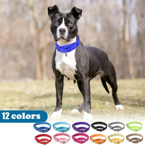 Miniatura 6 de 12 collares de Martingala para perros medianos, collar reflectante para perro con hebilla de metal duradera, nailon ajustable para mascotas que