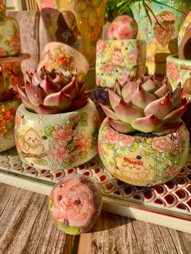 Miniatura 8 de Echeveria Agavoides - Kit de suculentas de dragón azul, con maceta de plástico, 1 cabeza de 2 pulgadas, planta viva de 2 pulgadas, suelo comprimido