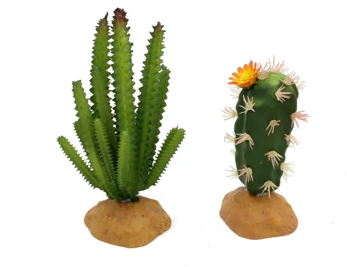 JIHAQUA Plantas de reptiles suculentas, selvas tropicales artificiales del desierto para lagarto barbudo, dragón camaleón, gecko, serpiente, Set 2