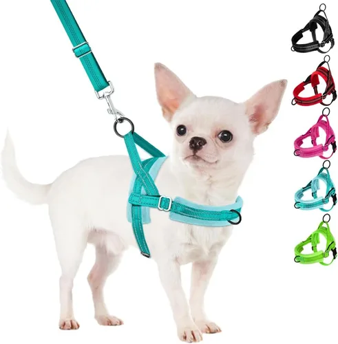 Miniatura 16 de SlowTon - Juego de arnés y correa para perros pequeños sin tirones, chaleco suave ajustable para cachorros para el cuello y el pecho, arnés