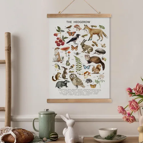 Miniatura 6 de XIAOAIKA Póster Educativo de Vida Silvestre de Seto Británico - Cuadro Ilustrado de la Naturaleza con Marco de Madera - Arte de Pared de Animales