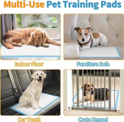 Miniatura 7 de Almohadillas de entrenamiento para perros y cachorros, almohadillas desechables para orina de perro de 13 x 18 pulgadas, 100 unidades ultra