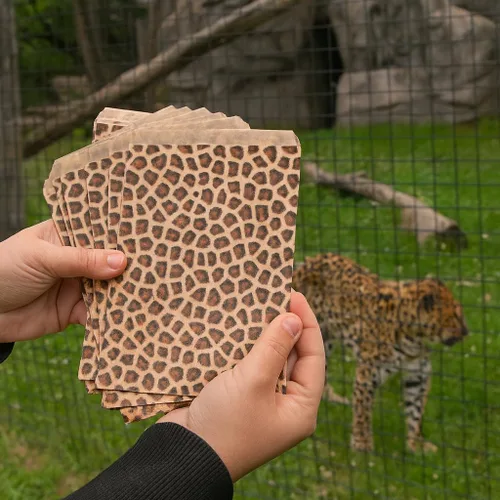 Miniatura 6 de 888 Display – 200 piezas de 8.5 x 11 pulgadas de papel de tono leopardo bolsas de regalo de compras
